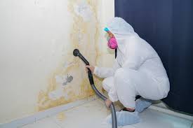 Best Mold Removal for HVAC Installations  in Houston, MO